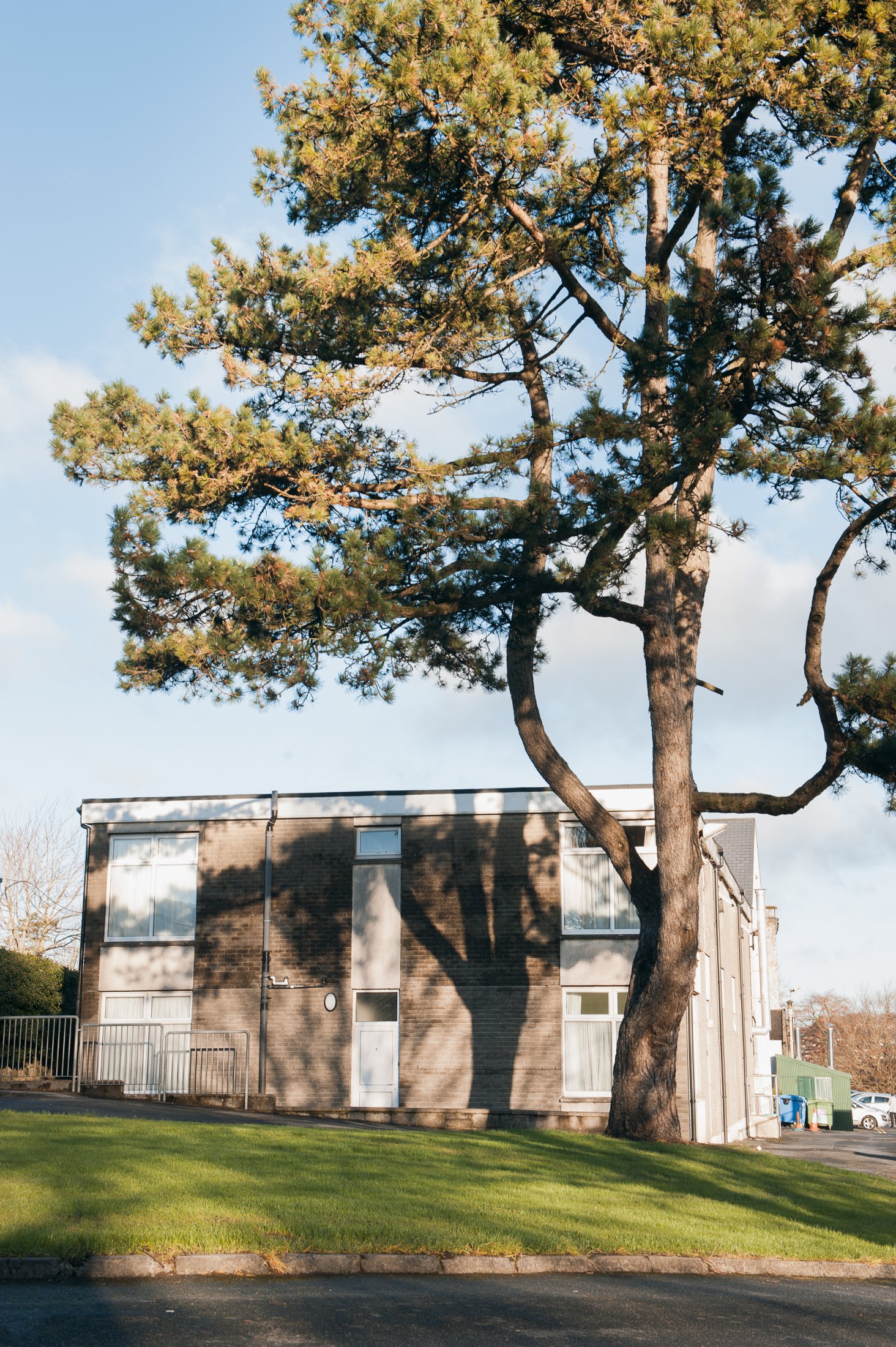 Farmyard Block Dorm With Scotch Pine 