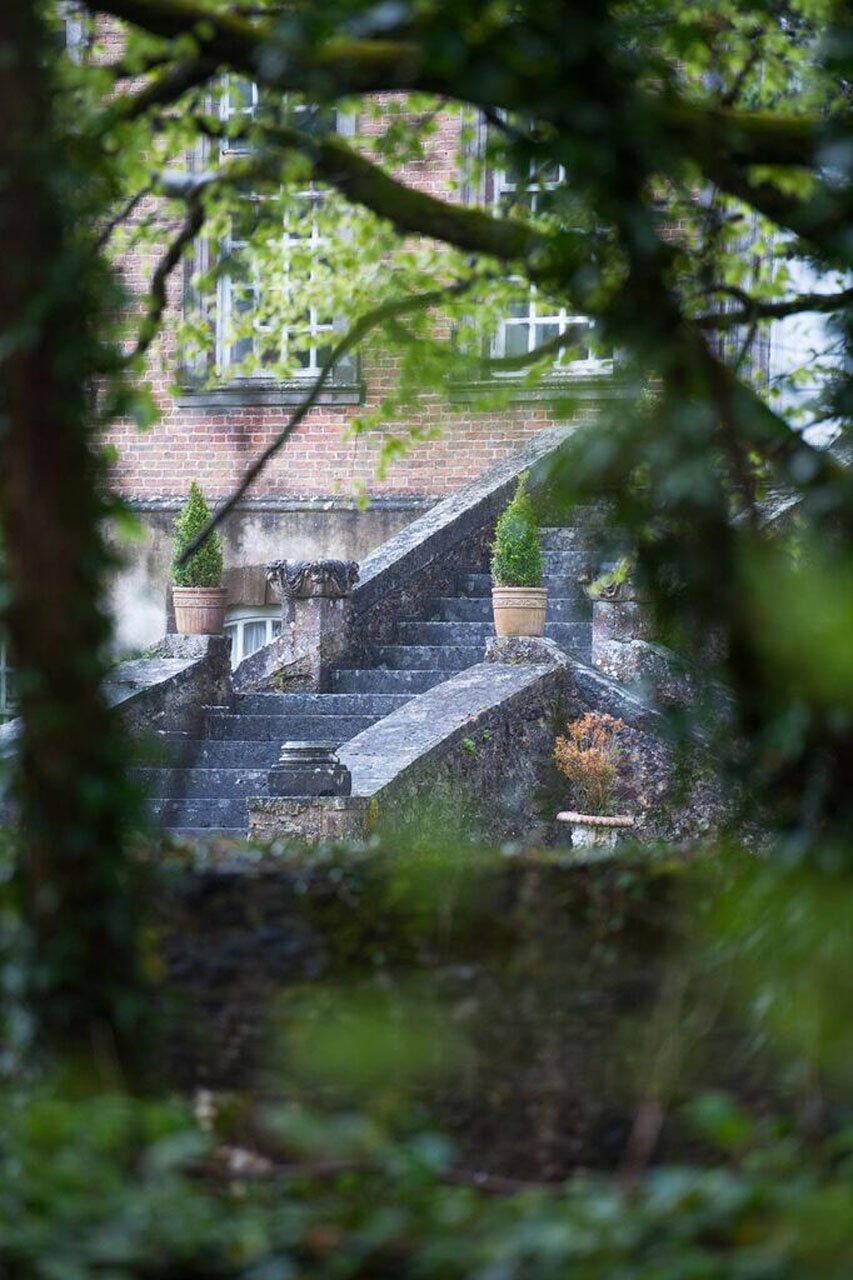 MI Steps Through Bushes