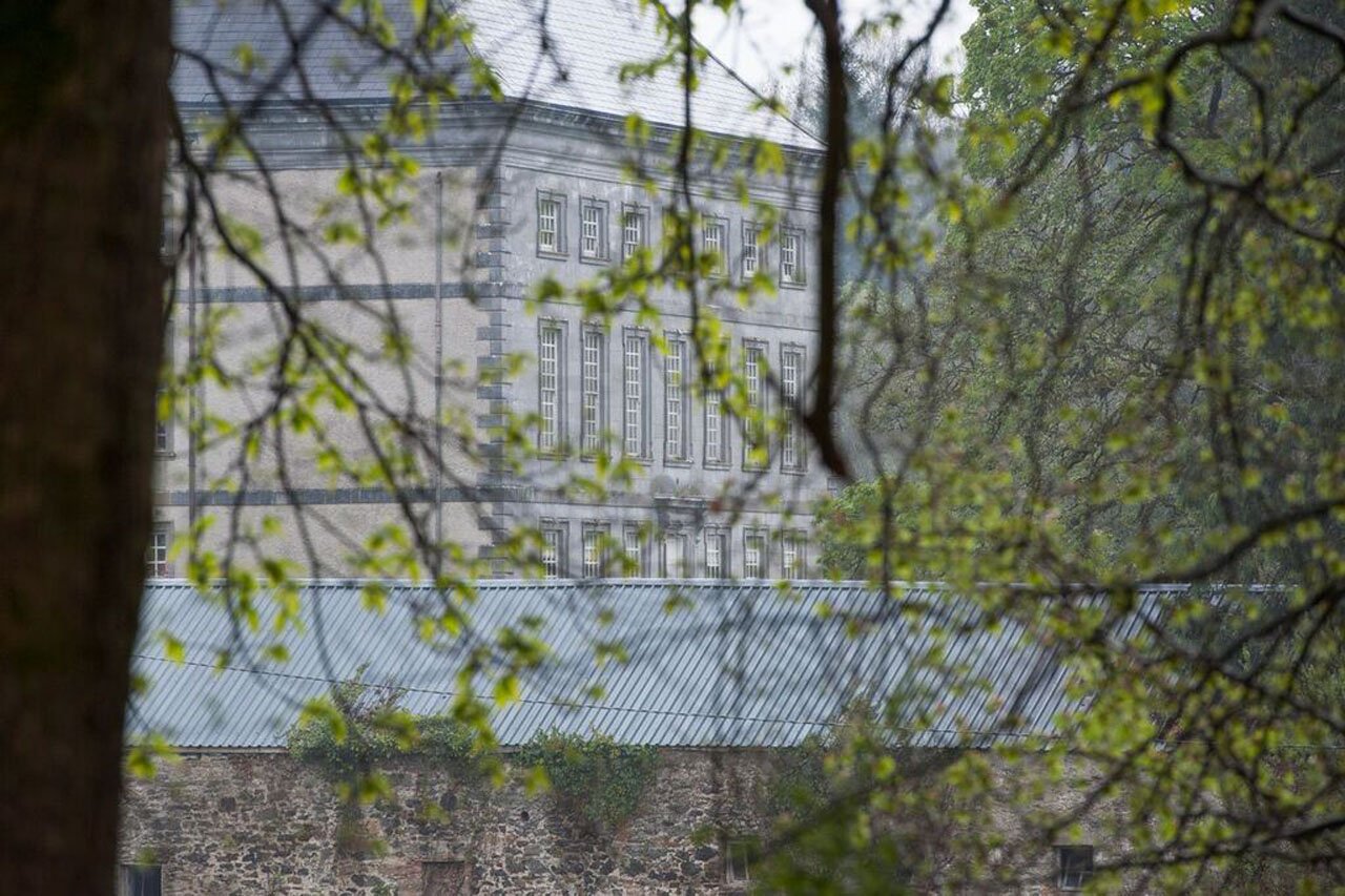 MI Through Trees