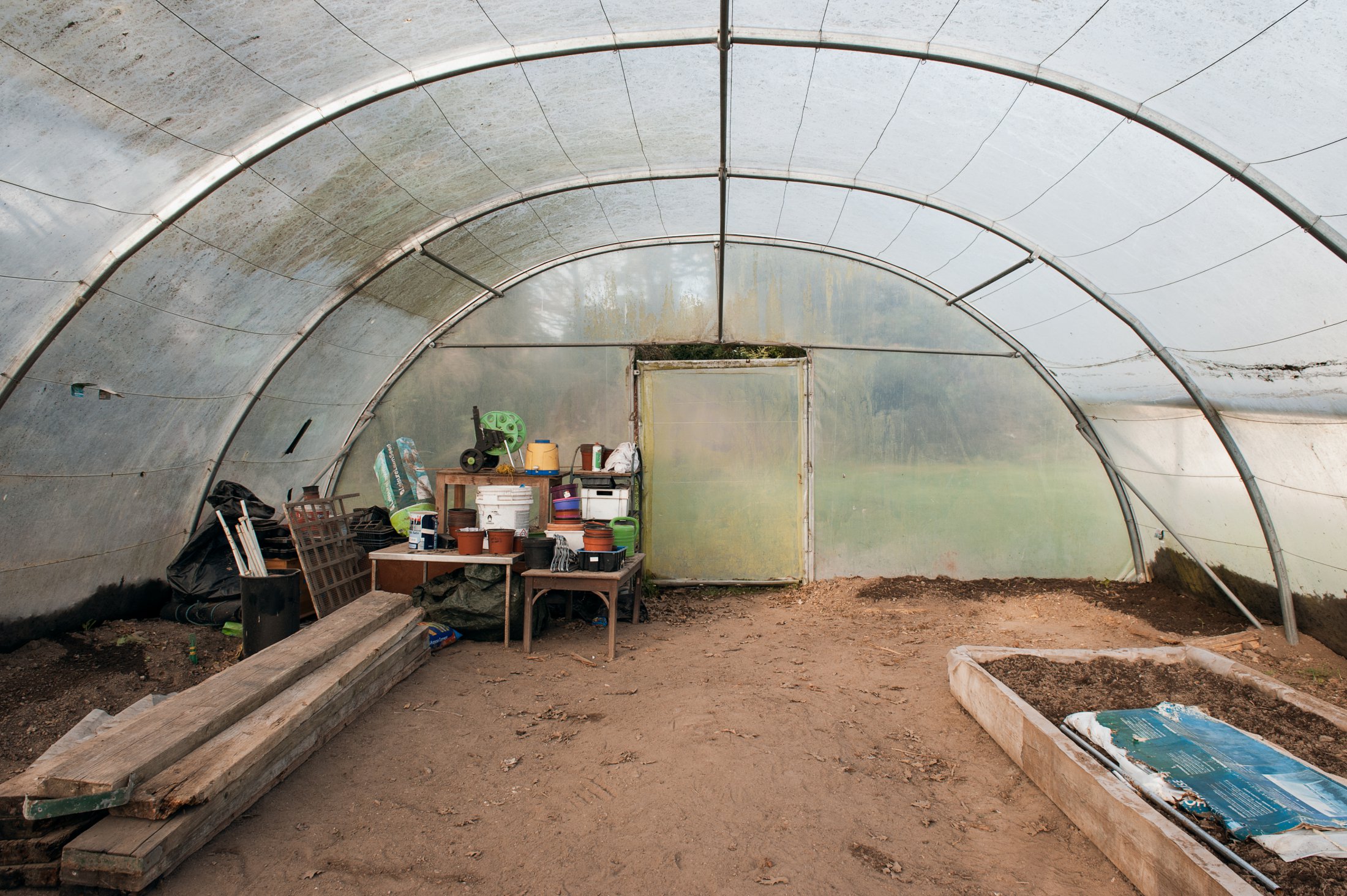 NSW Polytunnel